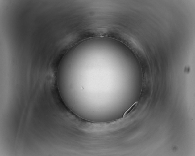 X0000102830037200808181334