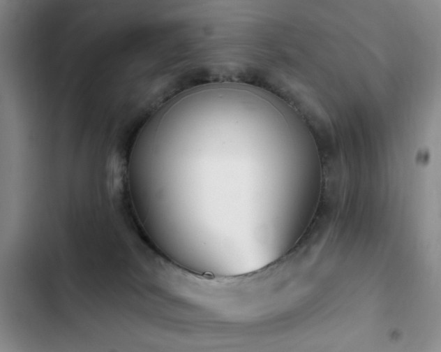 X0000102830038200808181334