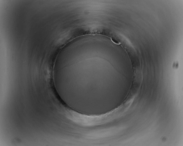 X0000102830039200808181334