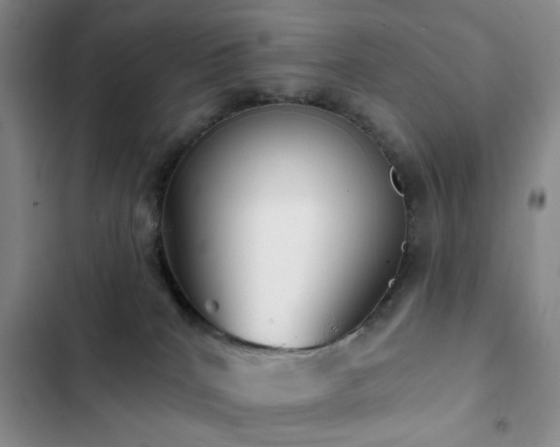 X0000102830040200808181334