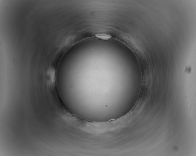 X0000102830041200808181334