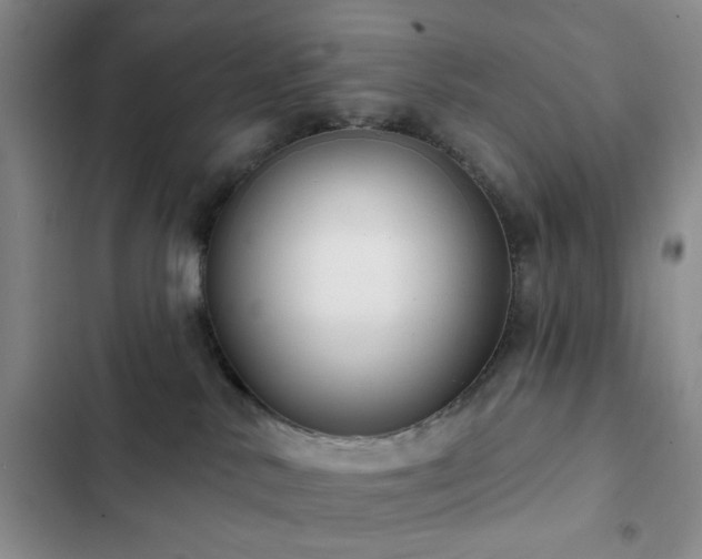 X0000102830042200808181334