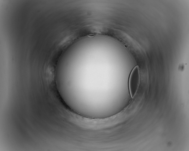 X0000102830043200808181334