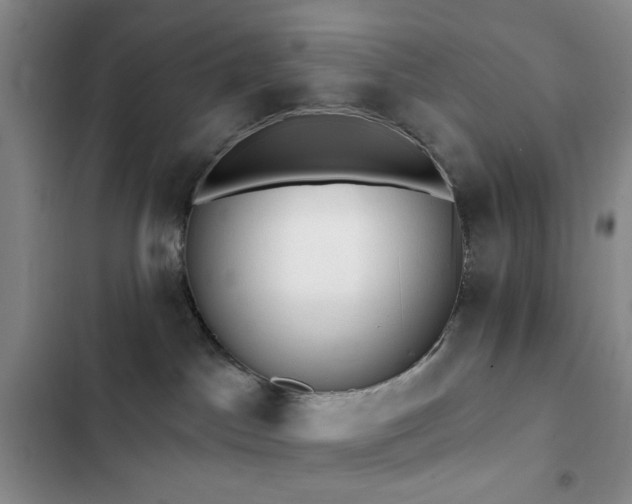 X0000102830045200808181334