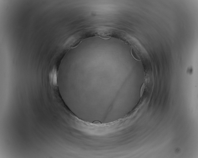 X0000102830046200808181334