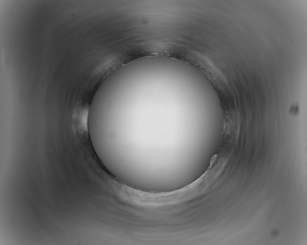 X0000102830047200808181334