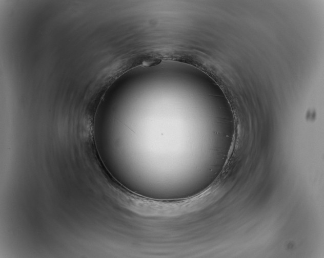 X0000102830048200808181334