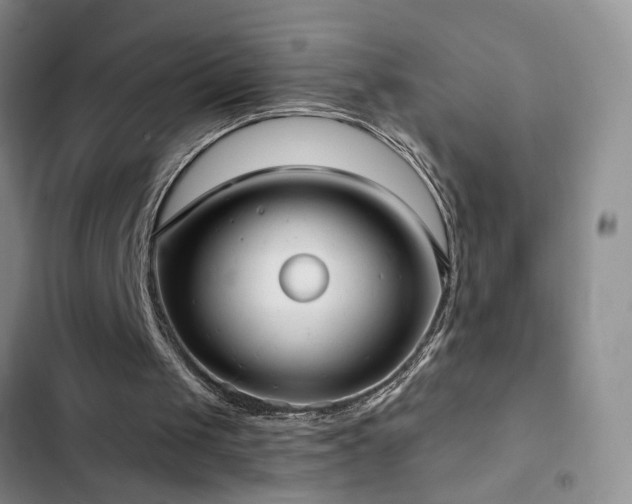 X0000102830049200808181334