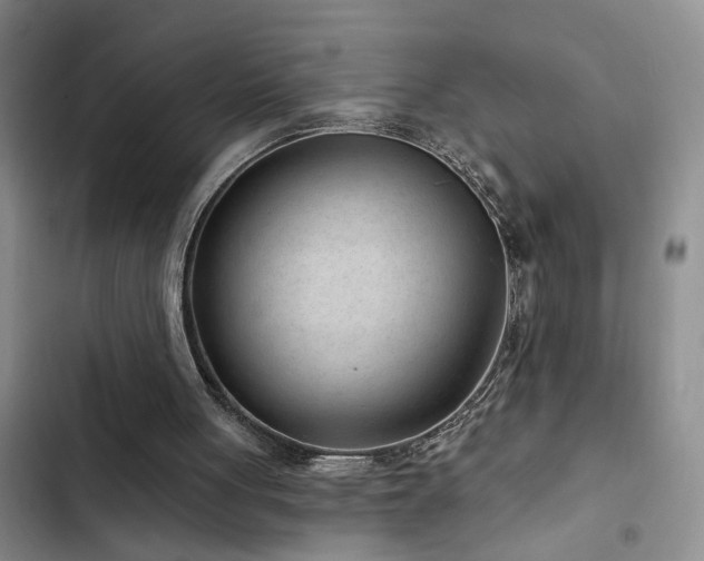 X0000102830051200808181334