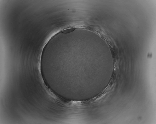 X0000102830052200808181334