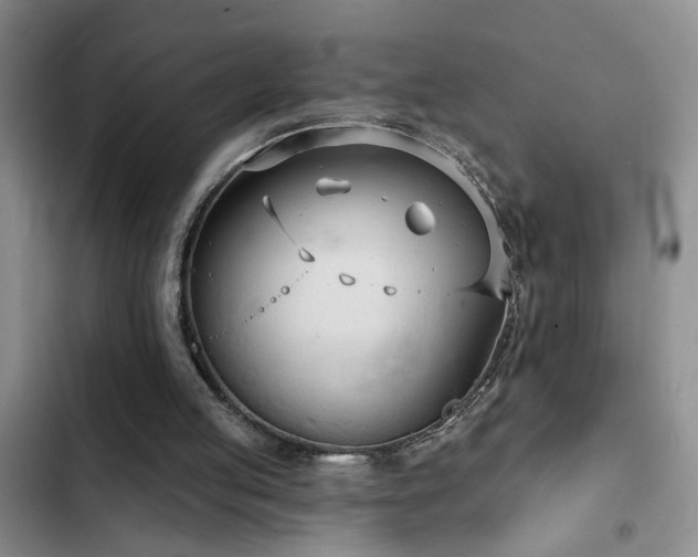 X0000102830053200808181334