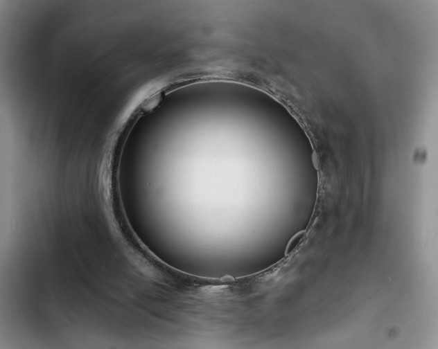 X0000102830054200808181334