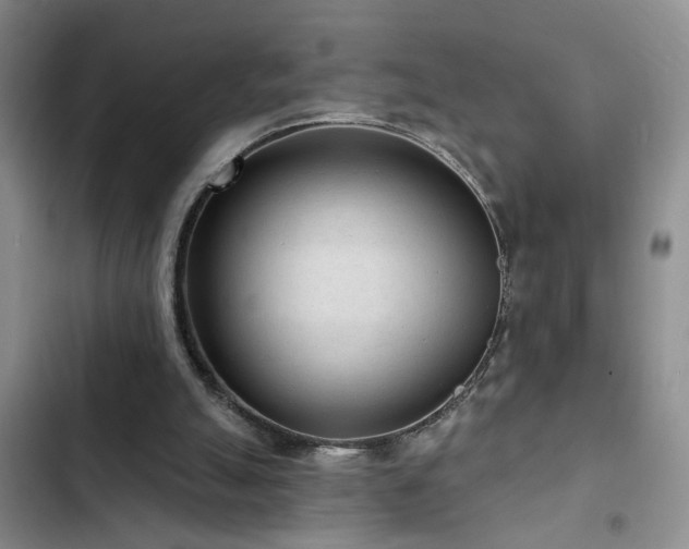 X0000102830055200808181334