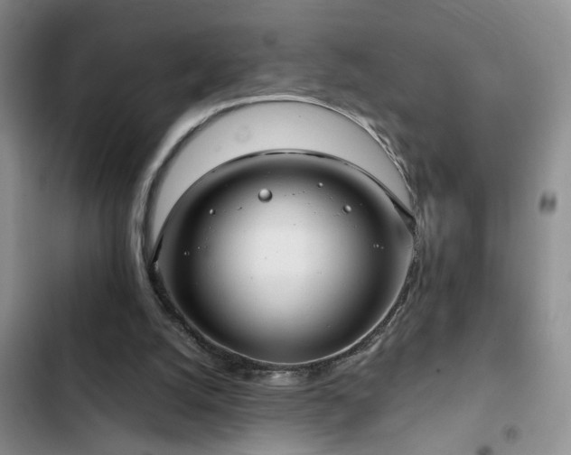 X0000102830056200808181334