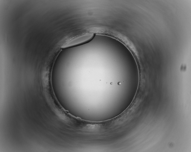 X0000102830057200808181334