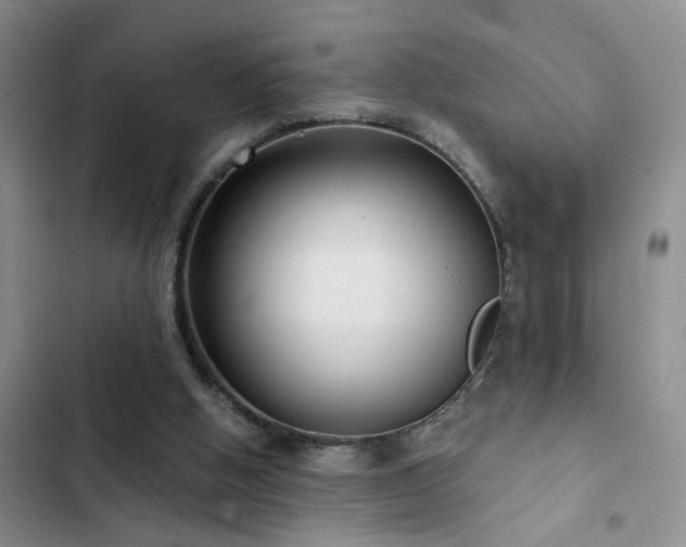 X0000102830058200808181334