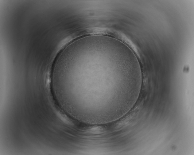 X0000102830059200808181334