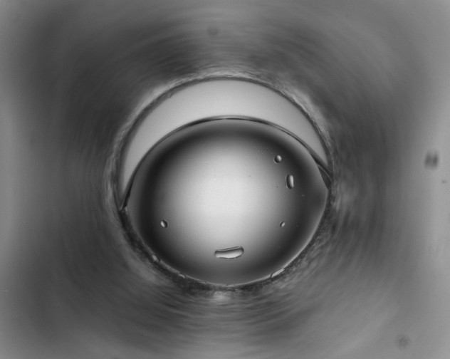 X0000102830060200808181334