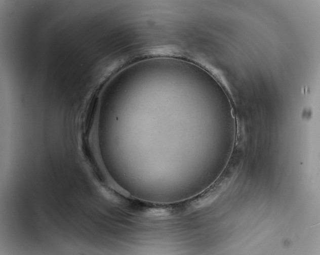 X0000102830061200808181334