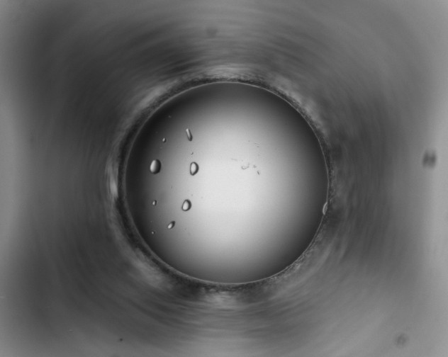 X0000102830062200808181334