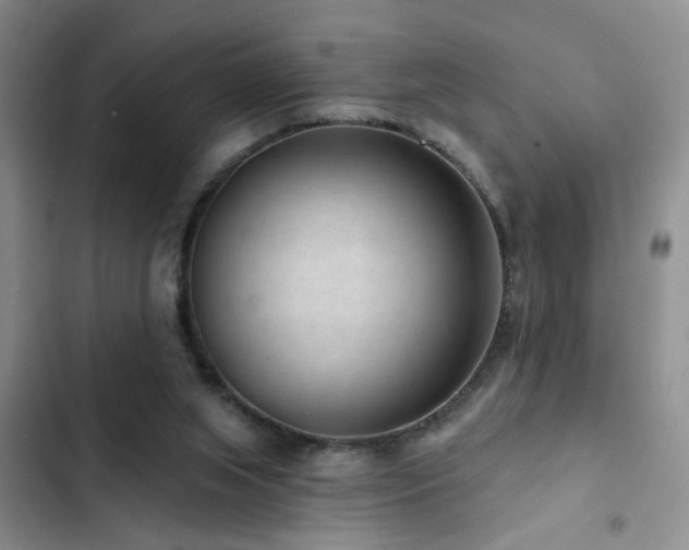 X0000102830063200808181334