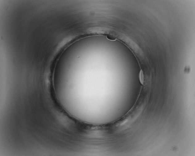 X0000102830064200808181334