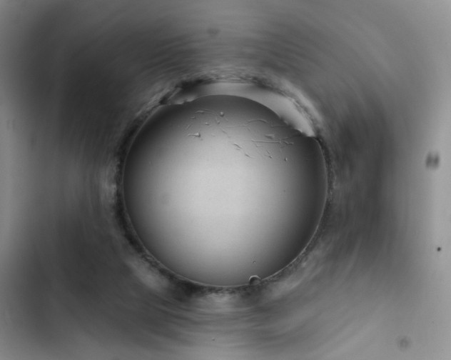 X0000102830065200808181334