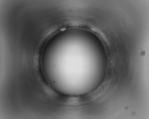 X0000102830066200808181334