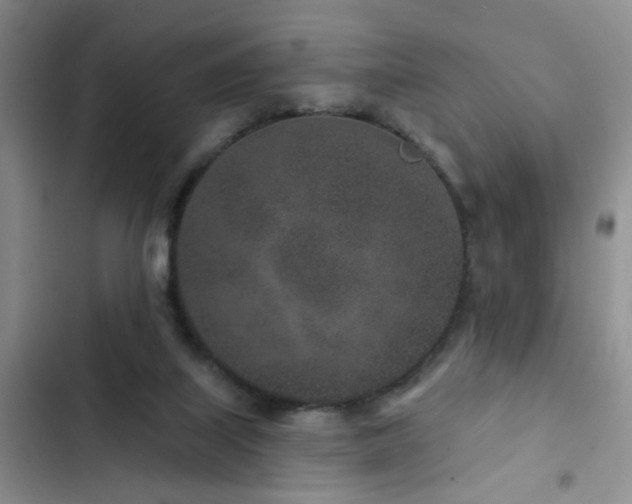 X0000102830067200808181334