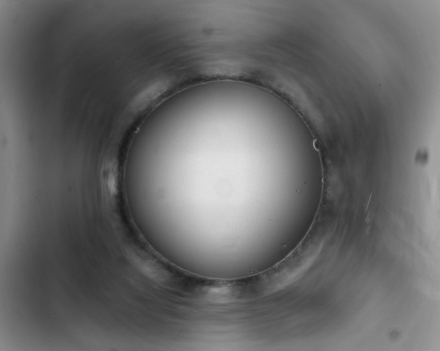 X0000102830068200808181334