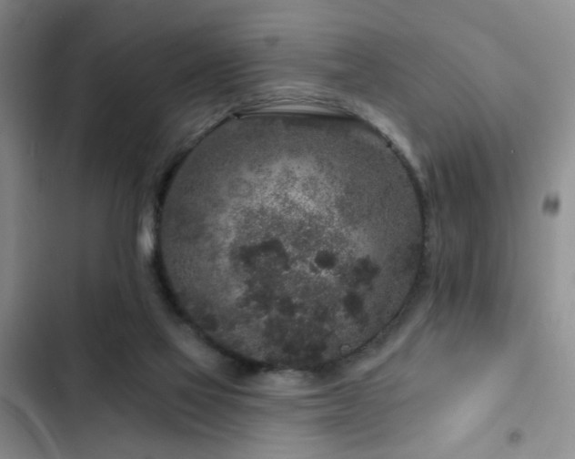 X0000102830069200808181334