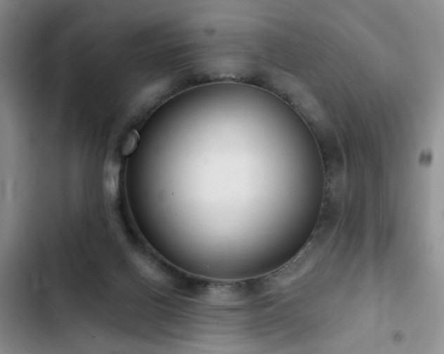 X0000102830070200808181334