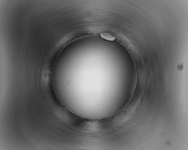 X0000102830071200808181334