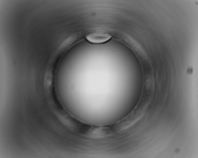 X0000102830072200808181334