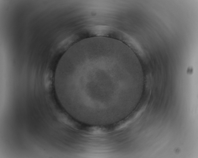 X0000102830073200808181334