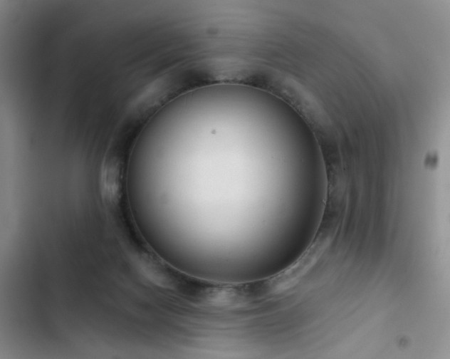 X0000102830074200808181334