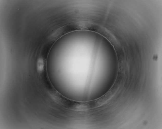 X0000102830075200808181334