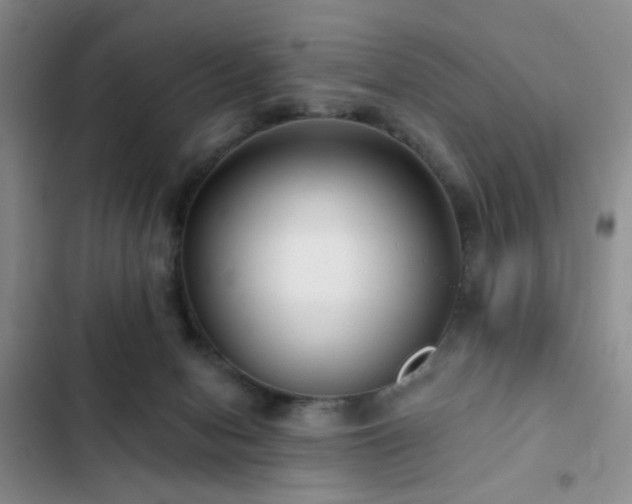 X0000102830078200808181334