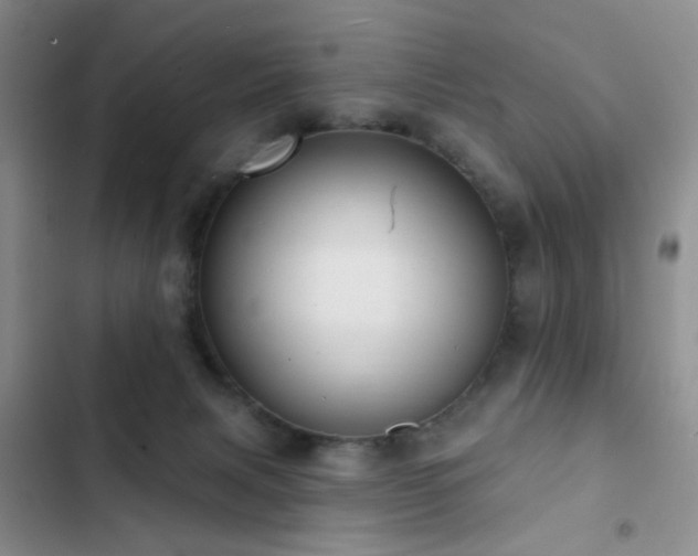 X0000102830079200808181334