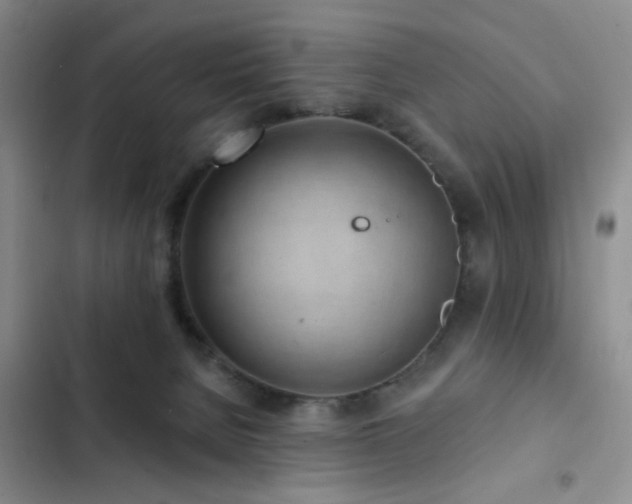 X0000102830080200808181334