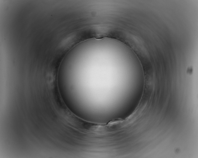 X0000102830082200808181334