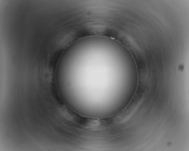 X0000102830083200808181334