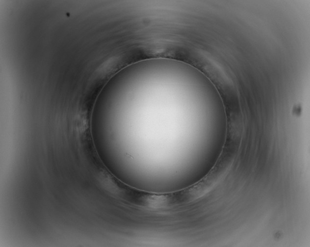 X0000102830085200808181334