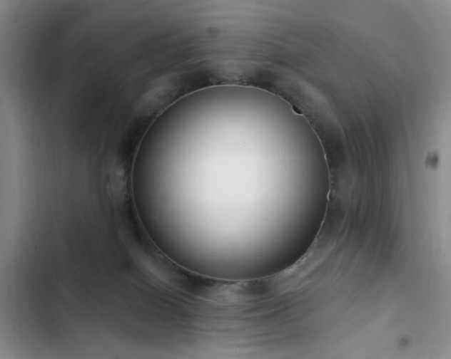 X0000102830086200808181334