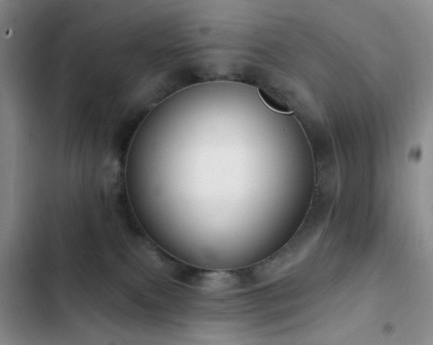 X0000102830087200808181334