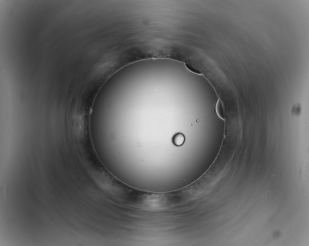 X0000102830088200808181334