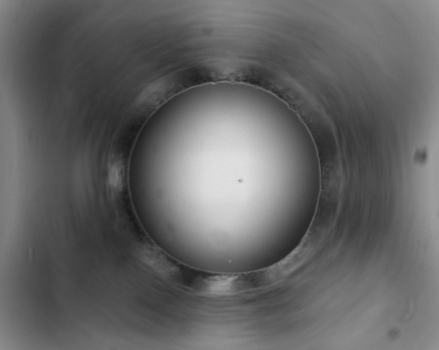 X0000102830090200808181334