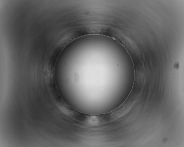 X0000102830091200808181334