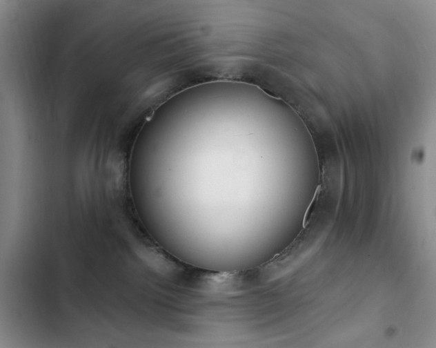 X0000102830092200808181334