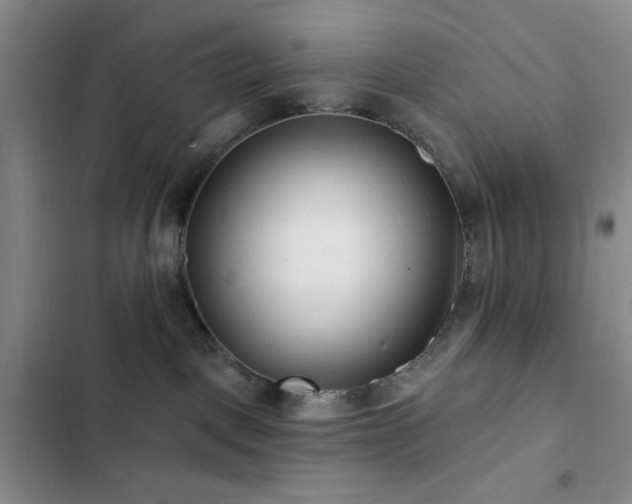 X0000102830093200808181334